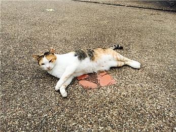 Take-Two开始要求玩家删除多款《GTA 4》MOD