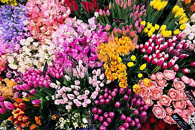 世嘉开启Steam发现特卖活动 最低折扣低至一折